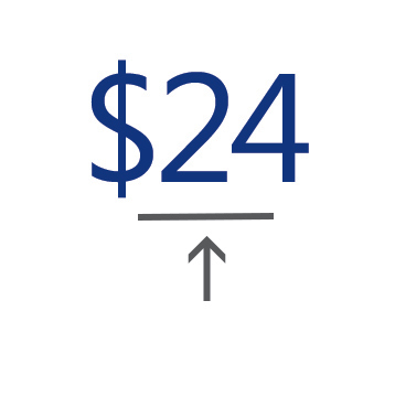 visa-checkout-transactions-358x360 $24, a horizontal line and an arrow pointing up.